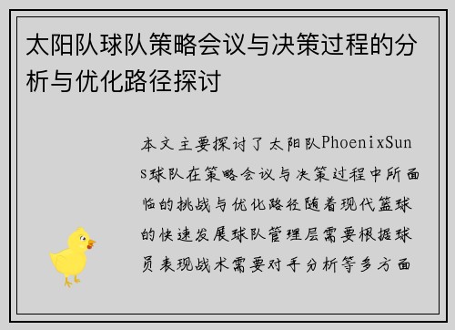 太阳队球队策略会议与决策过程的分析与优化路径探讨