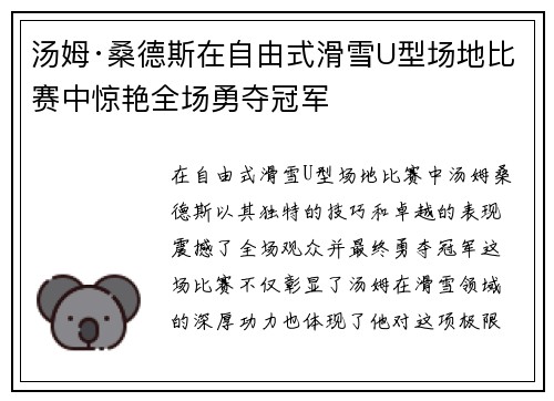 汤姆·桑德斯在自由式滑雪U型场地比赛中惊艳全场勇夺冠军