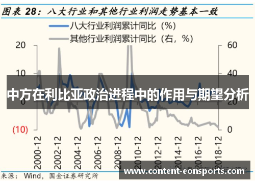 中方在利比亚政治进程中的作用与期望分析