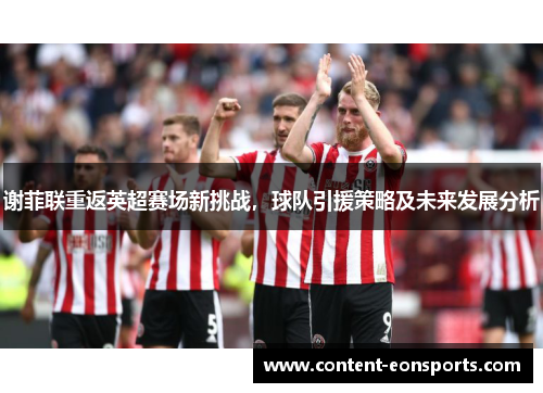 谢菲联重返英超赛场新挑战,球队引援策略及未来发展分析 谢菲联重返英超赛场新挑战,球队引援策略及未来发展分析
