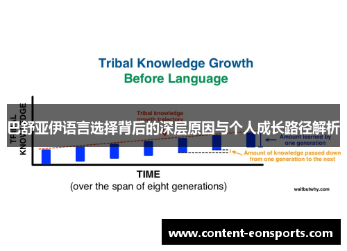巴舒亚伊语言选择背后的深层原因与个人成长路径解析