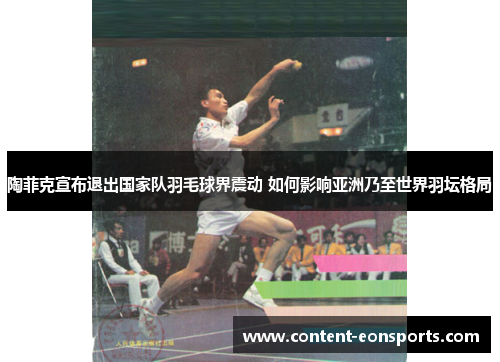 陶菲克宣布退出国家队羽毛球界震动 如何影响亚洲乃至世界羽坛格局