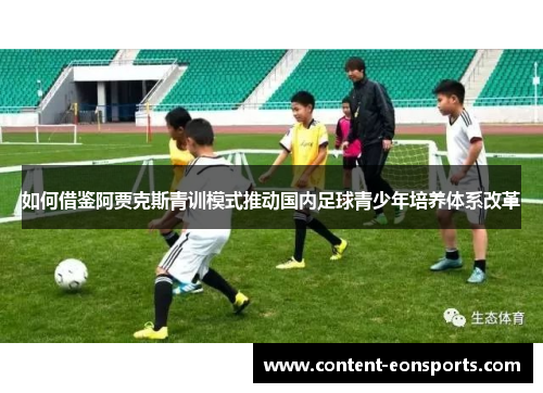 如何借鉴阿贾克斯青训模式推动国内足球青少年培养体系改革 如何借鉴阿贾克斯青训模式推动国内足球青少年培养体系改革